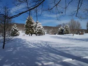 Photo by:  Laura Jamison  “Foxburg Golf Course in Winter” 